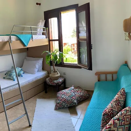 Mikiverna Seas The Day !