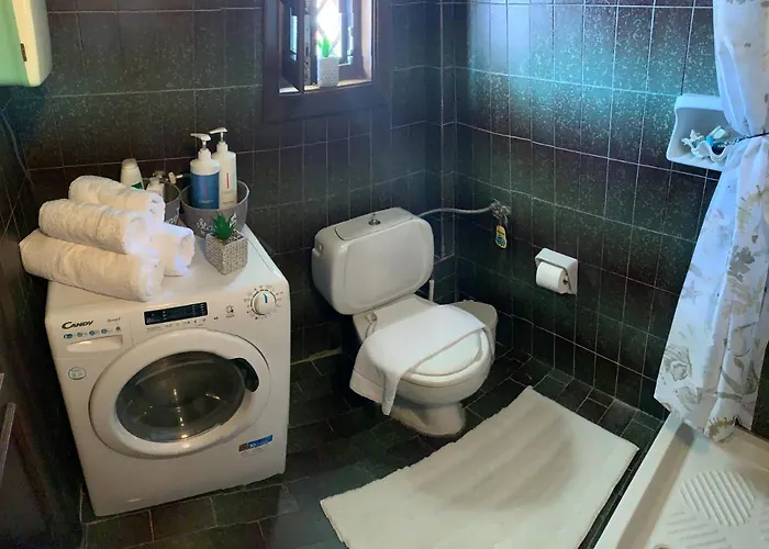 Mikiverna Seas The Day !